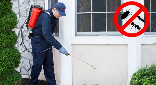 Bursa Böcek ve Haşere İlaçlama böcek ilaçlama ve haşere kontrolü — ilaclama-tr.com